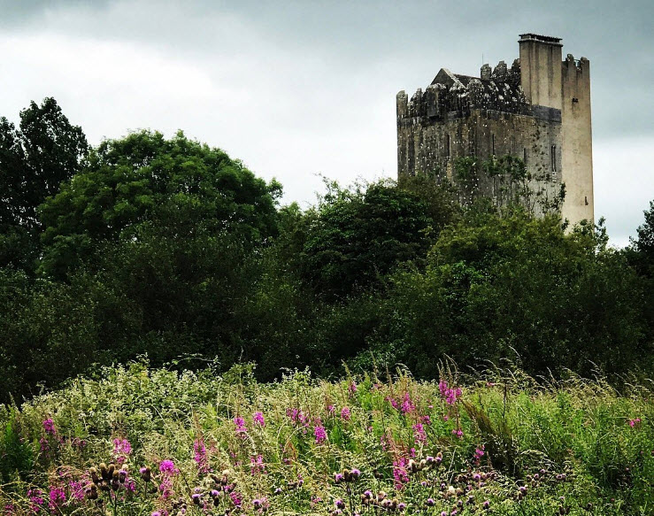 Ballyportry Castle, Ireland